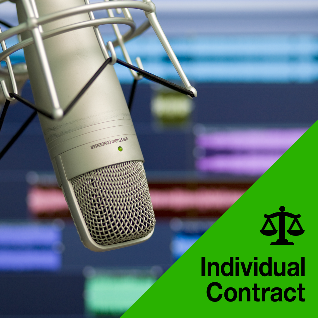 Recording Artist Contract (single deal - percentage of profits)